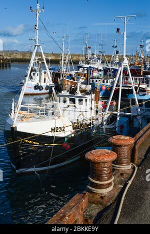 Barche da pesca legate a fianco a Bridlington, East Yorkshire, Inghilterra Foto Stock