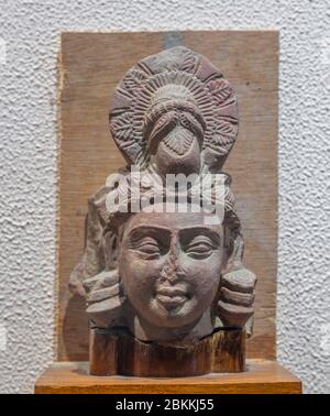 Capo Bodhisattva, scultura medievale, Museo, Mathura, Uttar Pradesh, India Foto Stock