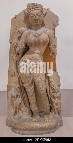 Tara, scultura del 11 ° secolo, Museo Sarnath, Sarnath, Uttar Pradesh, India Foto Stock