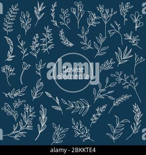 Set di elementi vintage floreali disegnati a mano. Fiori e foglie disegnati a mano per invito, biglietti d'auguri e cornice. Illustrazione Vettoriale