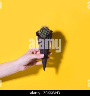 Collage d'arte contemporanea. Concept gelato Cactus su fondo giallo brillante. Banner stagione estiva minimal, spazio copia, depilate capelli rimuovere creativ Foto Stock
