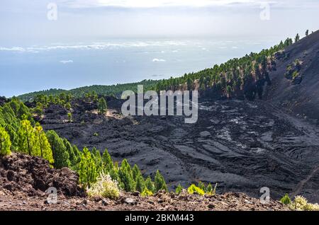 Lago di lava circondato da pini ai piedi del vulcano Duraznero a la Palma, Isole Canarie Foto Stock