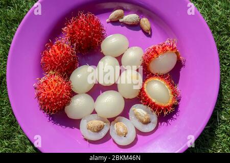 Primo piano di rambutan, frutti interi e pelati. Vista dall'alto frutta sana su sfondo viola. Pronto a mangiare la dolce frutta di Bali. La frutta è ovale arrotondato Foto Stock