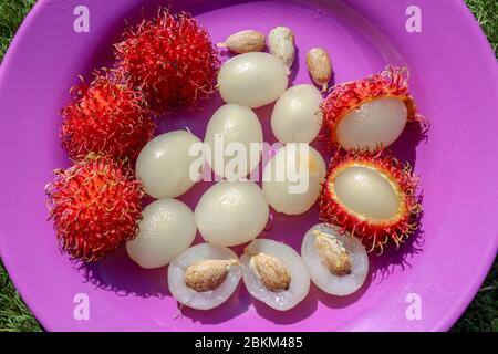 Primo piano di rambutan, frutti interi e pelati. Vista dall'alto frutta sana su sfondo viola. Pronto a mangiare la dolce frutta di Bali. La frutta è ovale arrotondato Foto Stock