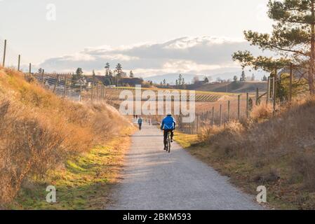 Penticton, British Columbia/Canada - 24 novembre 2019: La gente pedala e cammina lungo il Kettle Valley Rail Trail sul banco Naramata Foto Stock