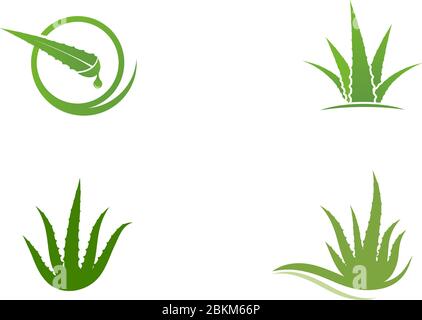 Modello di icone di disegno di illustrazione vettoriale di Aloe vera Illustrazione Vettoriale