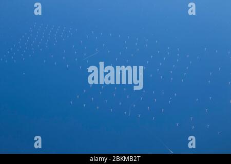 CANALE IN INGLESE, 4 maggio 2020. REGNO UNITO. Una vista aerea delle centrali eoliche offshore punteggiate sul canale inglese. Credit: amer Ghazzal/Alamy Live News Foto Stock