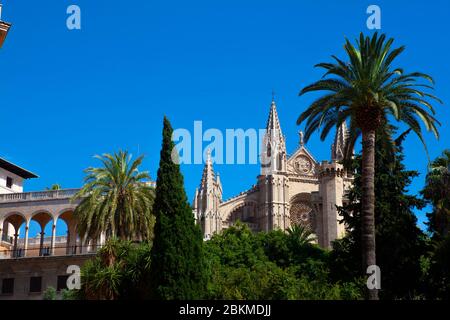 Cattedrale, Palma di Maiorca, Isole Baleari, Spagna Foto Stock