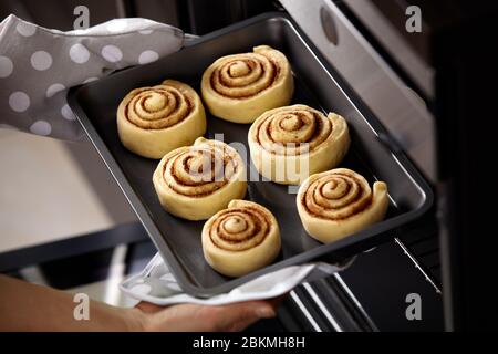 Una donna sta mettendo i panini nel forno. I rotoli di cannella vengono cotti nel forno. Cottura fatta in casa. Foto Stock