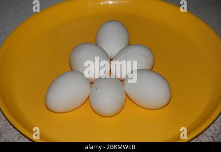 Primo piano di mezza dozzina di uova di pollame bianco di Hen Foto Stock
