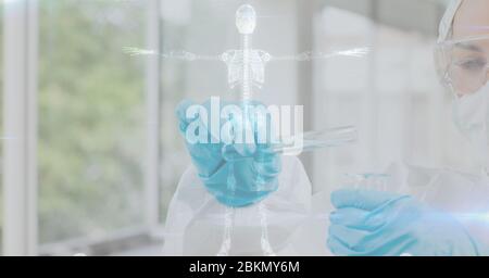 Illustrazione digitale di uno scienziato che tiene sopra una provetta Un modello 3D scheletro Foto Stock