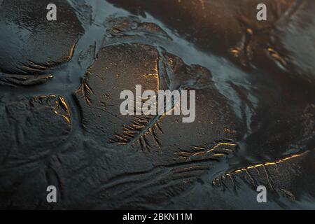 La marea esce e lascia un bellissimo motivo affluente nella sabbia all'alba Foto Stock