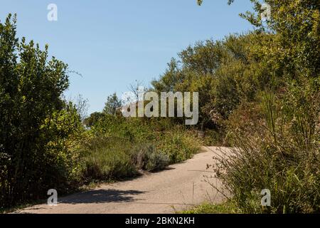 Cilipi, la zona rurale di Konavle, il sud di Dubrovnik, Dalmazia, Croazia. Una strada circondata da alberi, piante, verde creano un ambiente mentale e idilliaco Foto Stock