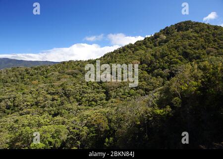 Cloudforest nel Parco Nazionale la Amistad, vicino a San Vito sulla strada per Las Tablas, Costa Rica Foto Stock