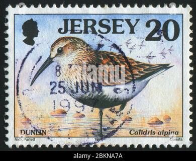 JERSEY - CIRCA 1997: Timbro stampato da Jersey, mostra uccello, circa 1997. Foto Stock