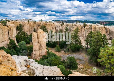 Box Canyon visto dal promontorio Trail a El Morro monumento nazionale, Nuovo Messico, Stati Uniti d'America. Foto Stock