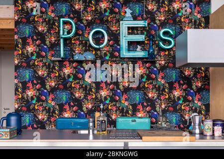 Eindhoven, Paesi Bassi, 2 febbraio 2020. Un dettaglio della cucina in un loft cittadino interno. Una casa bohémien, moderna, mix e si abbina in stile eclettico Foto Stock