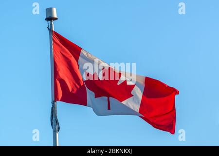 Bandiera canadese su un palo, cielo blu sfondo Foto Stock