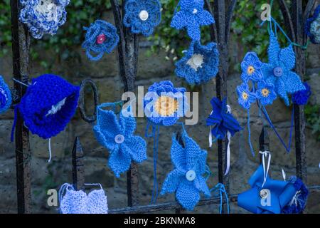 Una porta della chiesa a Baaildon, Yorkshire decorata con fiori a maglia blu a sostegno del NHS durante la Pandemia di Coronavirus. Foto Stock