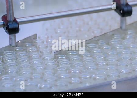 Linea di produzione farmaceutica automatica - nastro trasportatore con bottiglie di vetro vuote presso lo stabilimento di lavorazione della farmacia. Industria manifatturiera, industria farmaceutica Foto Stock