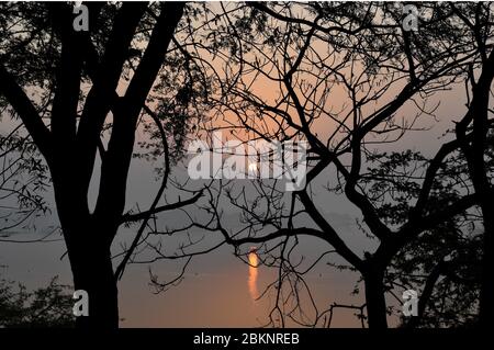 Sorgere del sole al Thol Wildlife Sanctuary Foto Stock