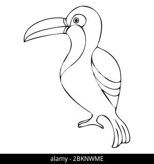 illustrazione vettoriale silhouette toucan, disegno di cartone animato di uccello tropicale toucan, illustrazione semplice del profilo disegnata a mano Illustrazione Vettoriale