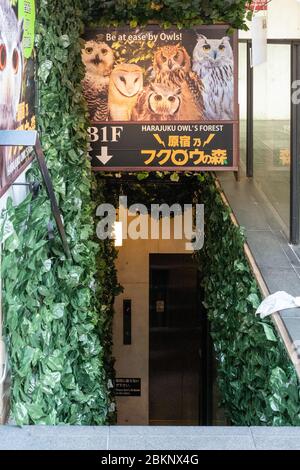 Cartello Animal Cafe, Tokyo, Giappone Foto Stock