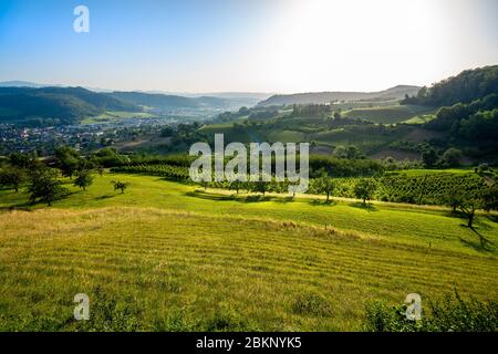 Vista su una lussureggiante valle verde a Fricktal in Svizzera Foto Stock