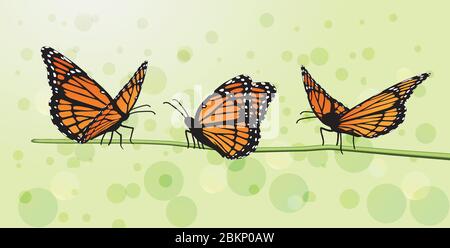 farfalla moth vettore monarca arancione insetto flutter Illustrazione Vettoriale