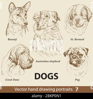 Set di disegno manuale di un carino cani razze parte 7. Testa dei cani isolata su sfondo beige. Matita mano disegnata ritratto realistico. Raccolta di animali. Buona f