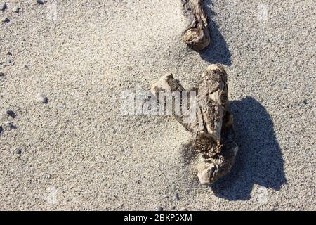 Sabbia e legno sulla spiaggia di Soverato, città dell'Italia meridionale Foto Stock