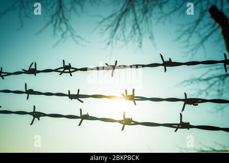 Filo spinato sul recinto con cielo blu di sentirsi preoccupante Foto Stock