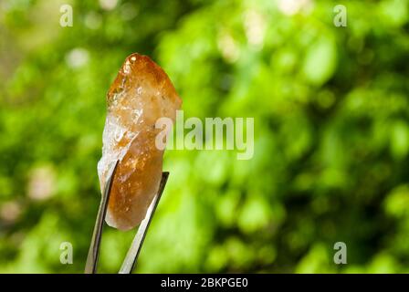 Citrino. Cristallo naturale senza lavorazione su sfondo verde. Inserire il testo Foto Stock