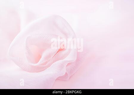 Rosa fiore seta su sfondo rosa pallido, copia spazio Foto Stock