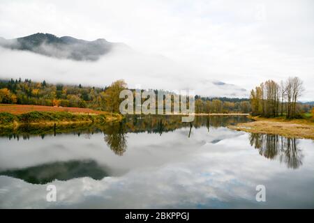 Un boscoso pendio di montagna è avvolta nella nebbia di mattina accanto al fiume Harrison vicino alla città di Harrison Mills, British Columbia, Canada. Foto Stock