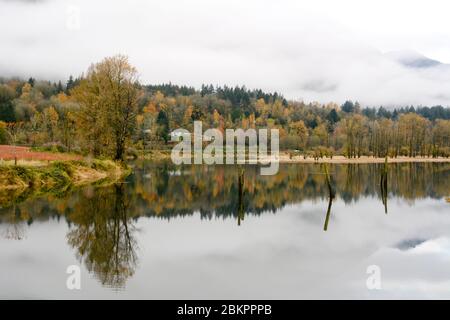 Un boscoso pendio di montagna è avvolta nella nebbia di mattina accanto al fiume Harrison vicino alla città di Harrison Mills, British Columbia, Canada. Foto Stock