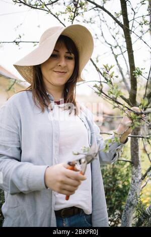 Donna con cappello in piedi in giardino e rifilatura albero. Donna giardiniere che indossa cappello da sole che taglia rami di albero usando forbici da taglio in giorno di sole. Foto Stock