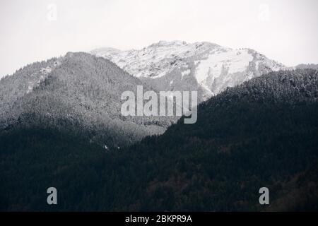 Un polverone di neve sulla foresta e le vette delle Cascade del Nord Montagne vicino alla città di Chiliwack, British Columbia, Canada. Foto Stock