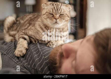 Il gatto carino, la piegatura scozzese, si trova sul petto del suo proprietario addormentato. Concetto di fiducia, amore e amicizia tra persone e animali domestici. Foto Stock