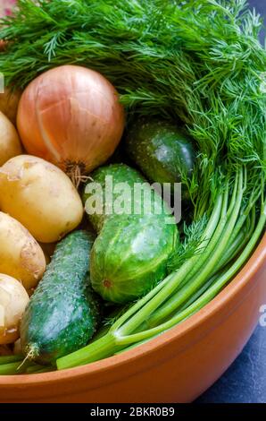 Raccolto di fattoria. Verdure fresche provenienti dal giardino. Cetrioli crudi, aneto, cipolle, patate in una ciotola di argilla. Ingredienti per la cucina di piatti vegetariani. Chiudi Foto Stock