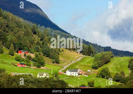 fiordi norvegesi beatiful, vita in norvegia, paesaggio norvegia, costa norvegia Foto Stock