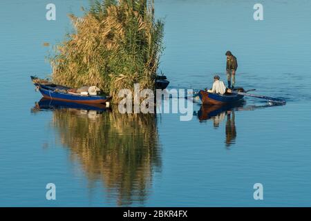 Egitto, Alto Egitto, valle del Nilo, Aswan, pescatore sul Nilo Foto Stock