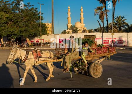 Egitto, Alto Egitto, valle del Nilo, Aswan, carretto con moschea El-Tabia sullo sfondo Foto Stock