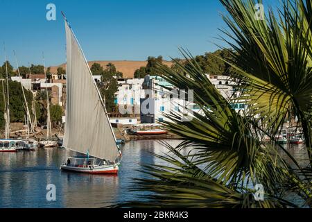 Egitto, Alto Egitto, valle del Nilo, Assuan, feluca sul Nilo di fronte all'isola di Elefantina Foto Stock