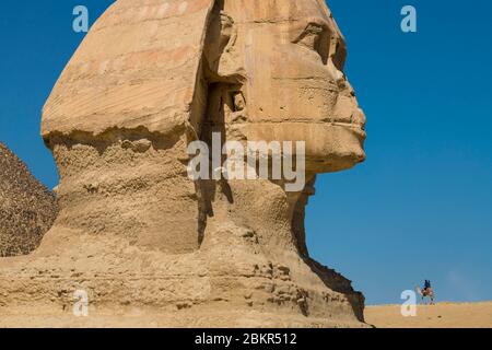 Egitto, Cairo, Giza, patrimonio mondiale dell'UNESCO, la Sfinge, Chefren e Cheops piramidi Foto Stock