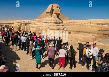 Egitto, Cairo, Giza, patrimonio mondiale dell'UNESCO, la Sfinge, Chefren e Cheops piramidi Foto Stock