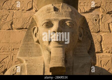 Egitto, Alto Egitto, valle del Nilo, Luxor, tempio di Luxor, patrimonio mondiale dell'UNESCO, statua di Rameses II Foto Stock