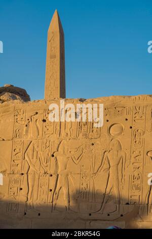 Egitto, Alto Egitto, valle del Nilo, Luxor, Karnak, patrimonio mondiale dell'UNESCO, tempio di Amun, obelisco di Hatshepsut Foto Stock