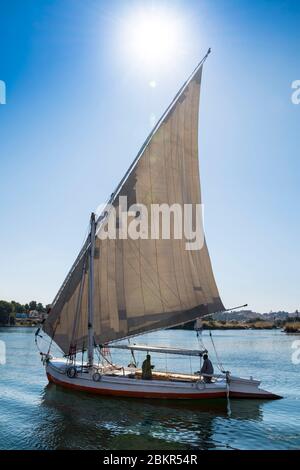 Egitto, Alto Egitto, vicino all'isola di Elefanina, marinaio su una feluca che naviga sul Nilo Foto Stock