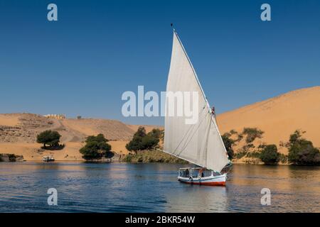 Egitto, Alto Egitto, vicino all'isola di Elefanina, marinaio su una feluca che naviga sul Nilo Foto Stock